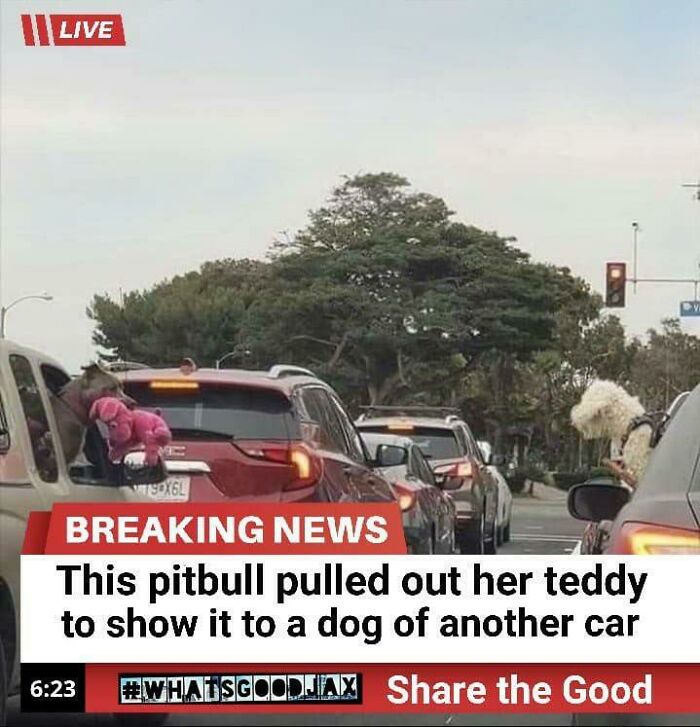Blessed_news