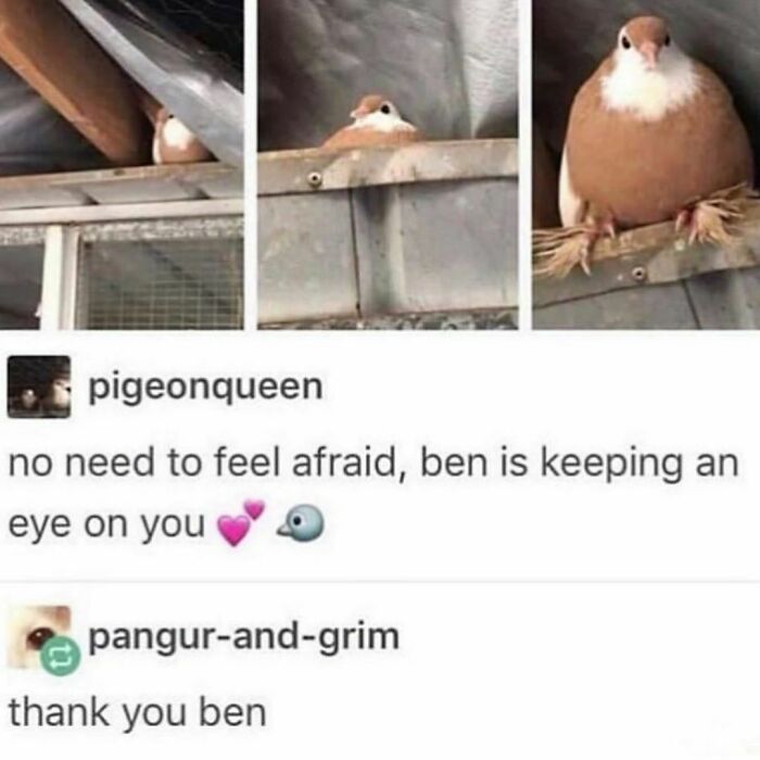 Blessed_ben