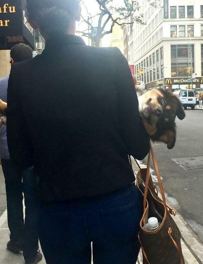Blessed_carry