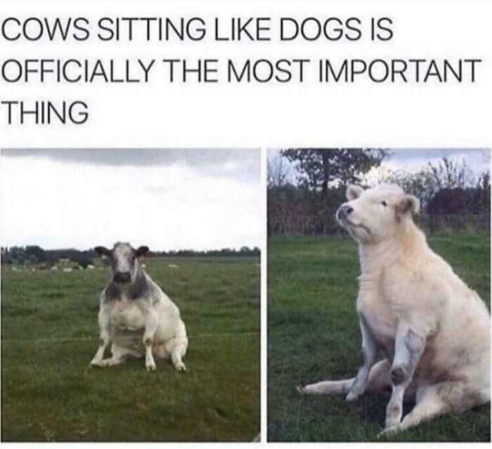 Blessed_sit