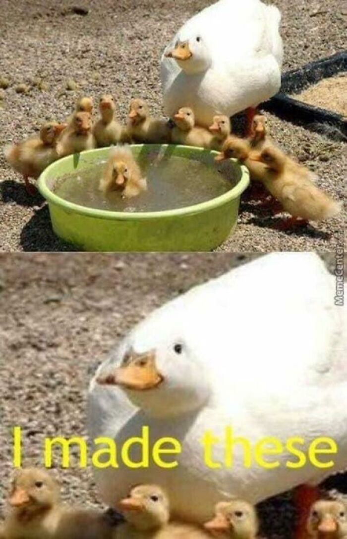 Blessed_duckmother
