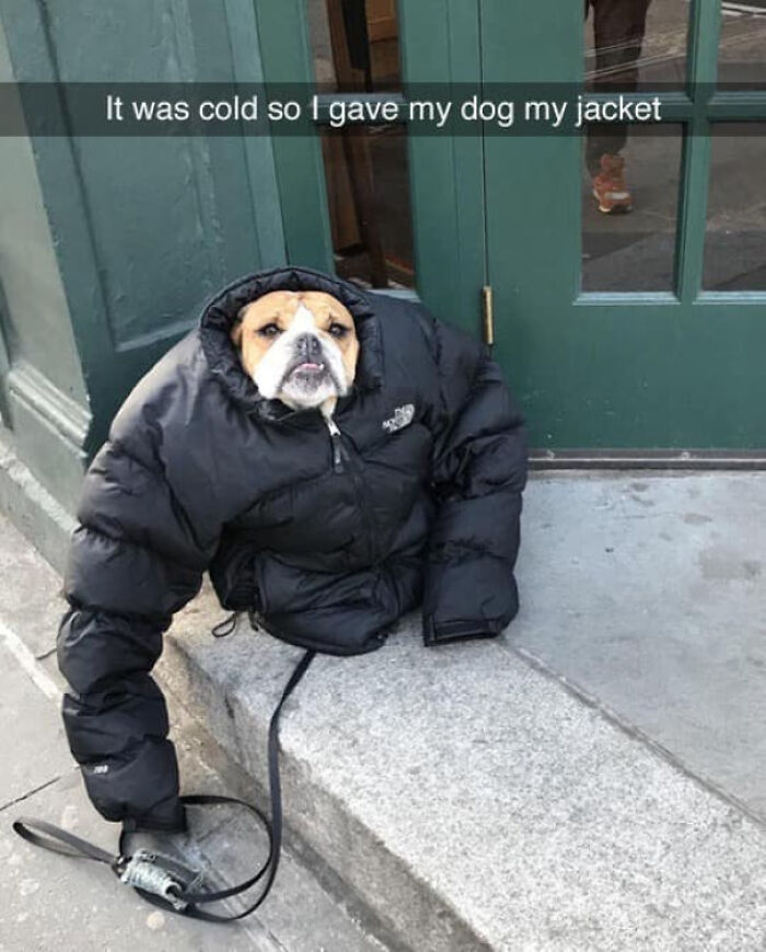 Blessed Jacket