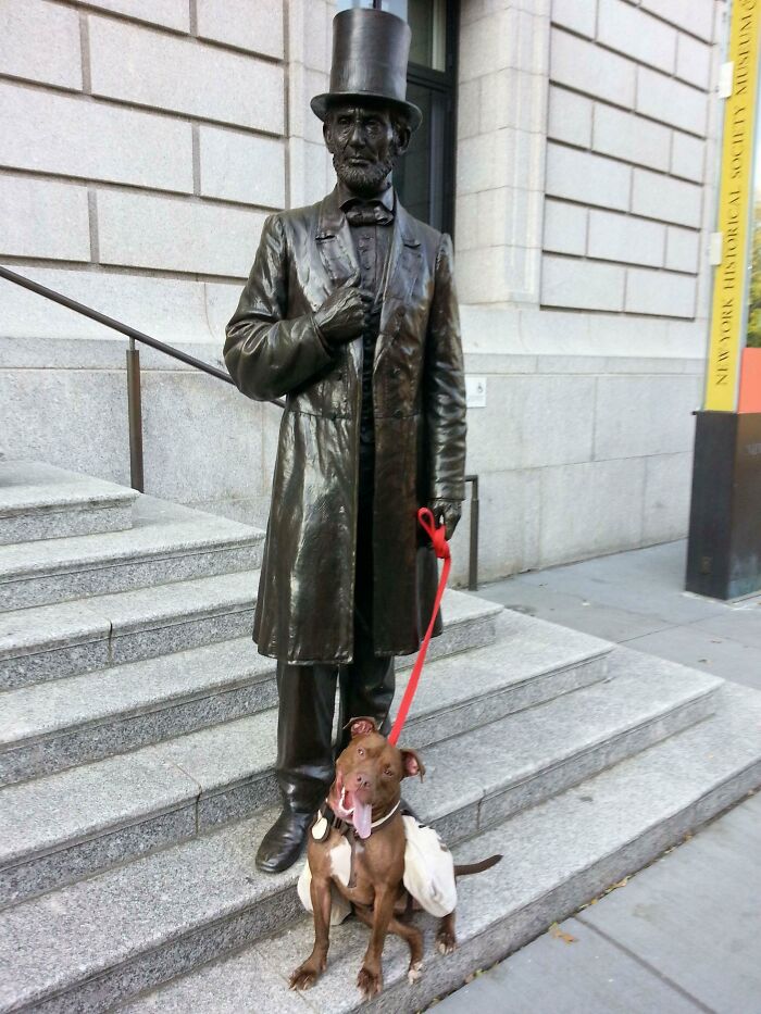 Abraham Lincoln: Dog Walker (Taken Outside NYHS Museum)