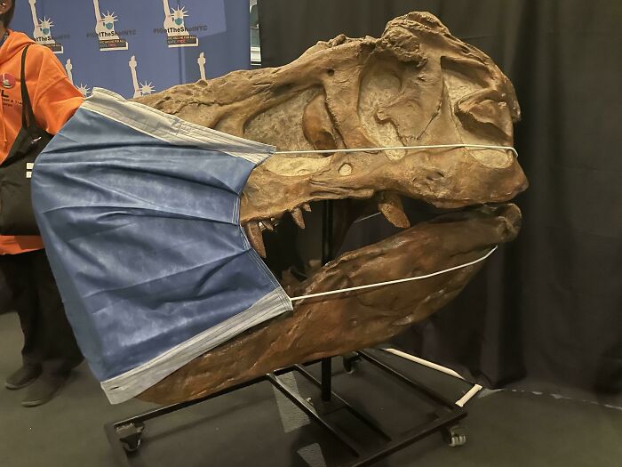 The T-Rex Skull In A Mask. Walk-Ins Welcome