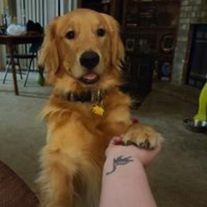 kristi_loyall avatar