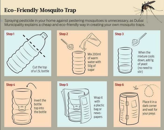 For Regions With A Lot A Mosquitoes, This DIY Trap Is Quite Effective