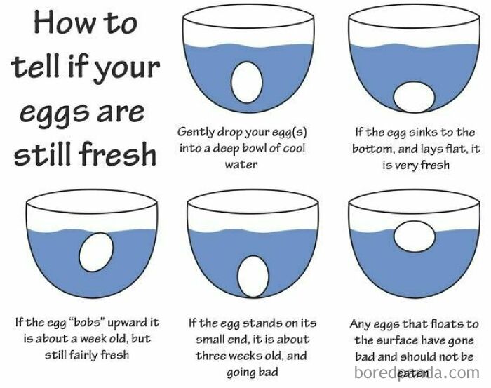 How To Tell If Egg Is Fresh