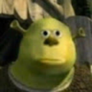 michaelmoehlstudent avatar