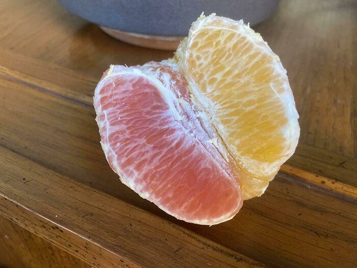 My Orange Had Segments In Two Shades Of… Orange