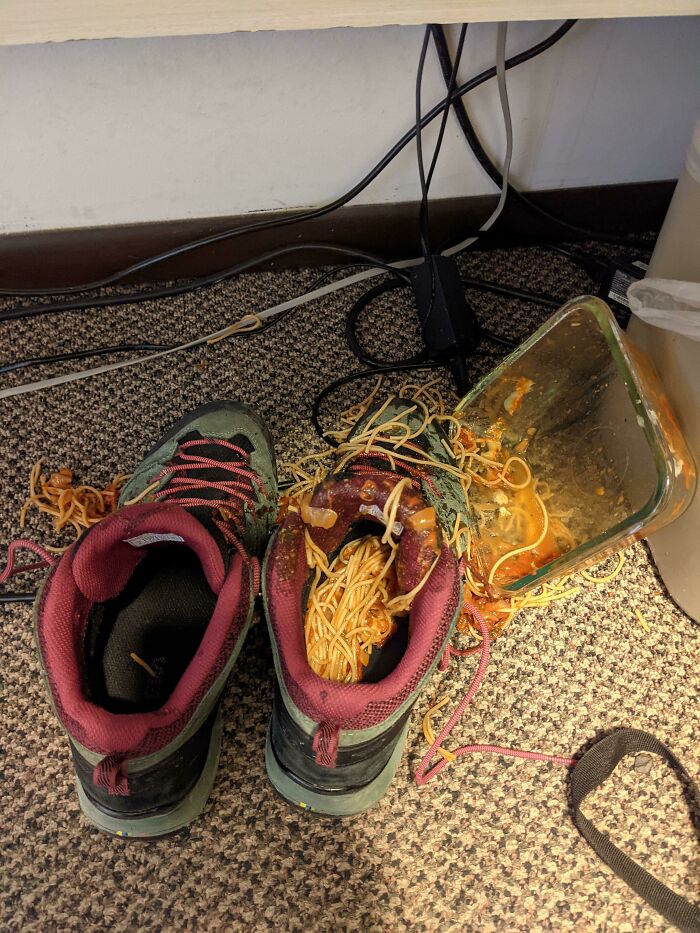 This Week Started With A Break Up, Then I Had To Get My Car Towed, Now I Spilled Spaghetti In My Shoe