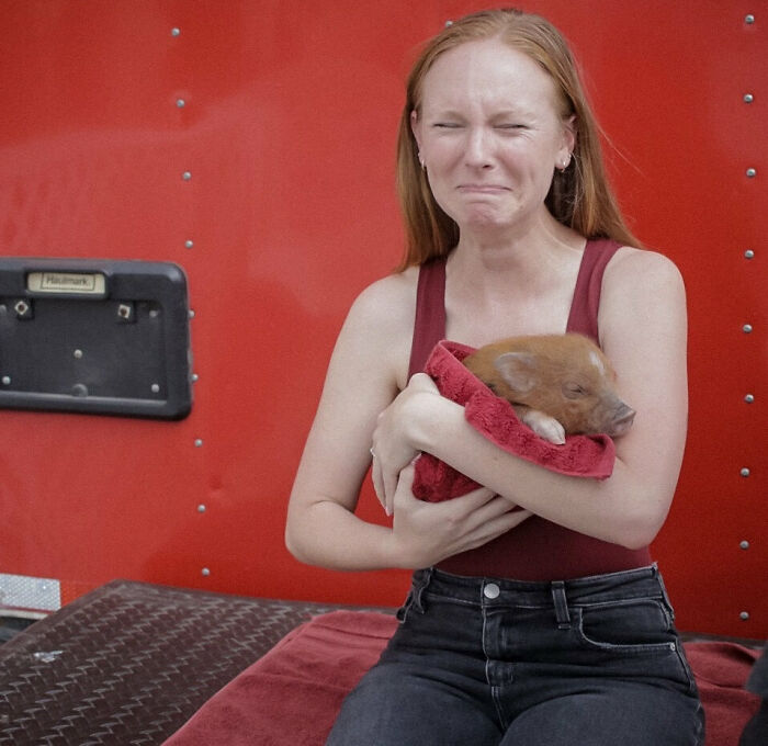 Young woman holding piglet and nearly crying