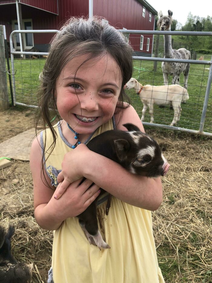 A little girl with bracelets and a yellow dress happily holding a piglet