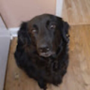 adriannasalamone avatar