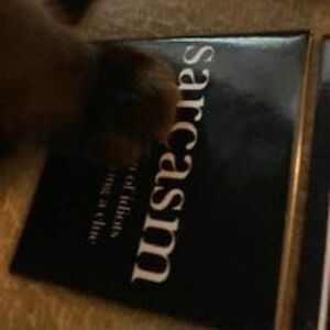 ceallaighcorbeau avatar