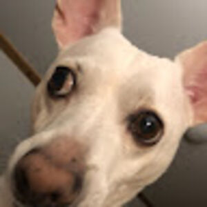 jonathancassidy avatar