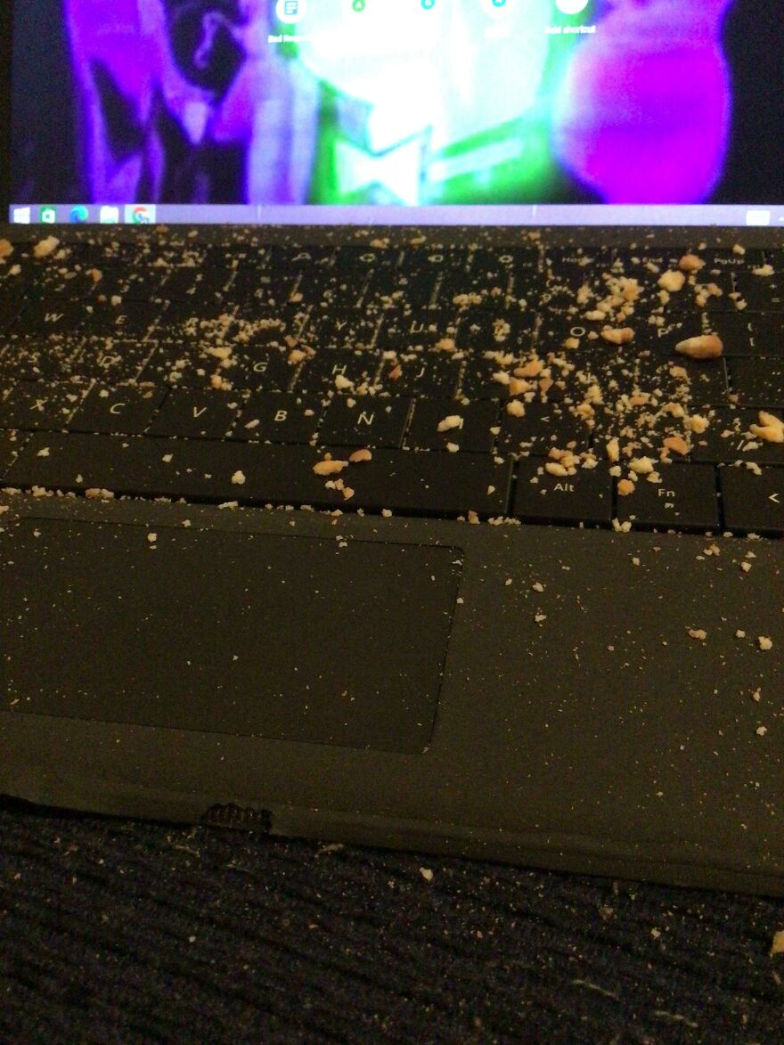 Gave My Little Cousin My Laptop For 10 Minutes And I Get It Back Like This