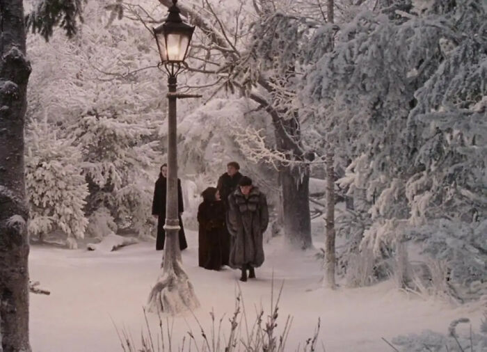 In The Lion, The Witch And The Wardrobe (2005), If You Look Closely At The Lamppost, You Can See It Has Roots, Like A Tree. This Is Because In The Narnia Books, The Lamppost Was Grown From An Iron Bar Torn From A Similar Lamp In London
