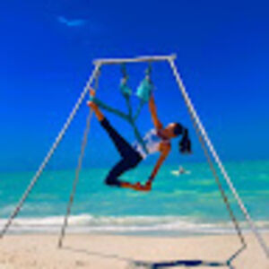 heartofanaerialist avatar