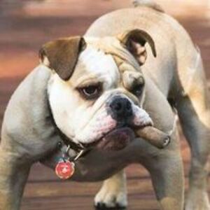 grouchyjarhead avatar