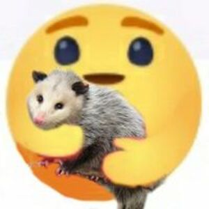 annie_yang2298 avatar