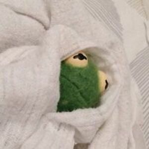 jaidenabigail avatar