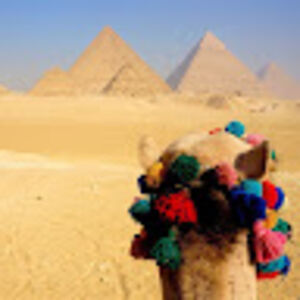 habdulahnassif avatar