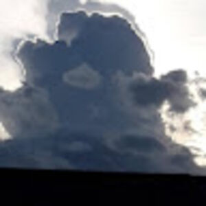 susanmartintebbetts avatar