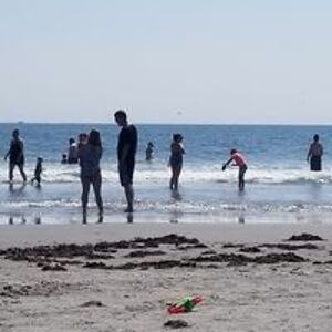 justpeachyalors avatar