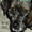 ashleycathers avatar