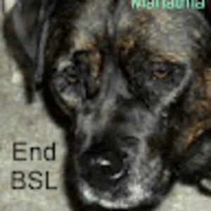 ashleycathers avatar