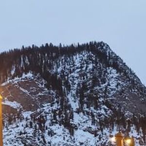 anonymouslibertarian2020 avatar