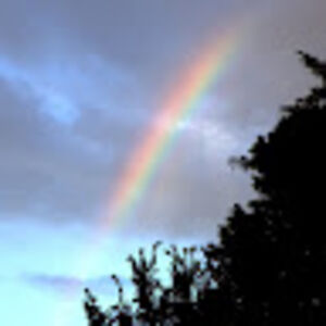 curtcurmudgeon avatar