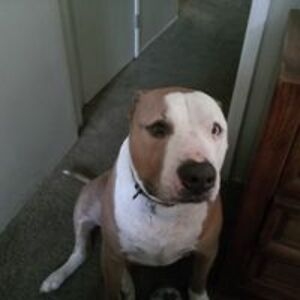 rochelle_bowman avatar