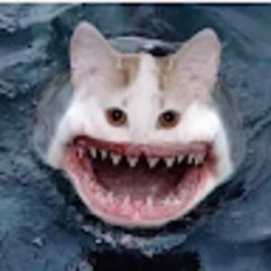 yourleftbumcheek avatar