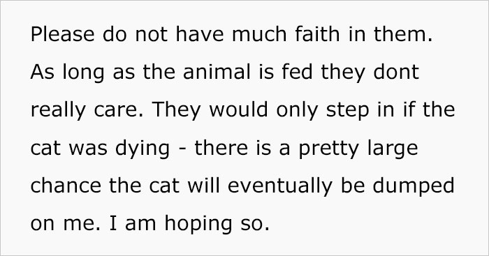 Woman Wanted To Get A Cat And Feed It Vegan Dry Food, Roommate Passes That On To The Shelter Worker And They Decline Her Application Woman Wanted To Get A Cat And Feed It Vegan Dry Food, Roommate Passes That On To The Shelter Worker And They Decline Her Application