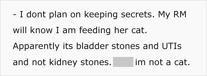 Woman Wanted To Get A Cat And Feed It Vegan Dry Food, Roommate Passes That On To The Shelter Worker And They Decline Her Application Woman Wanted To Get A Cat And Feed It Vegan Dry Food, Roommate Passes That On To The Shelter Worker And They Decline Her Application