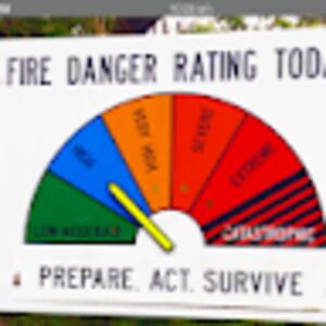 alisonshanahan avatar