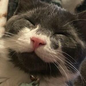 marieandreasen13 avatar