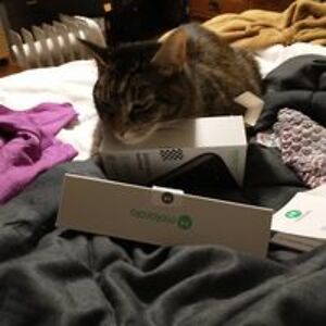 brightlotus101 avatar