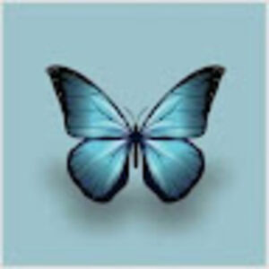 lairinhafigheroa avatar