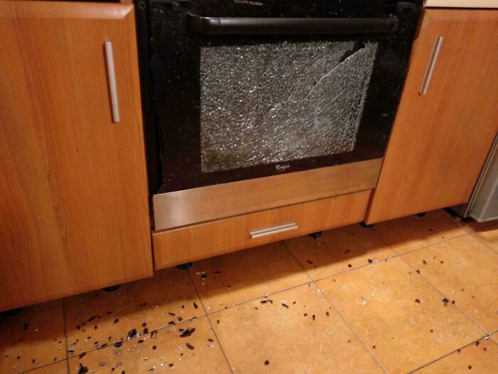 My Oven Exploded After I Wanted To Cook Chicken