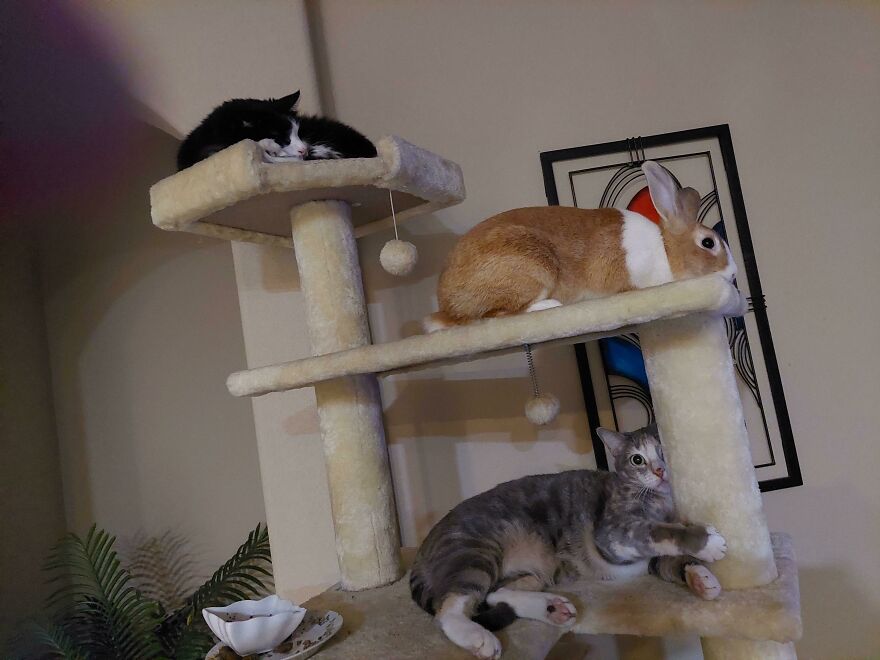 Day Four Of Infiltration