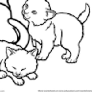 harasoranivibe avatar