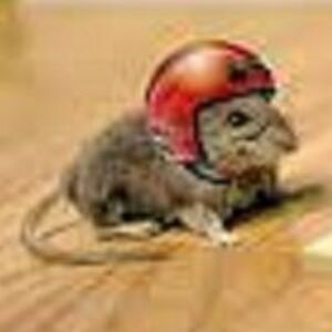 charmainem704 avatar