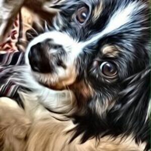 dollshousegirl avatar