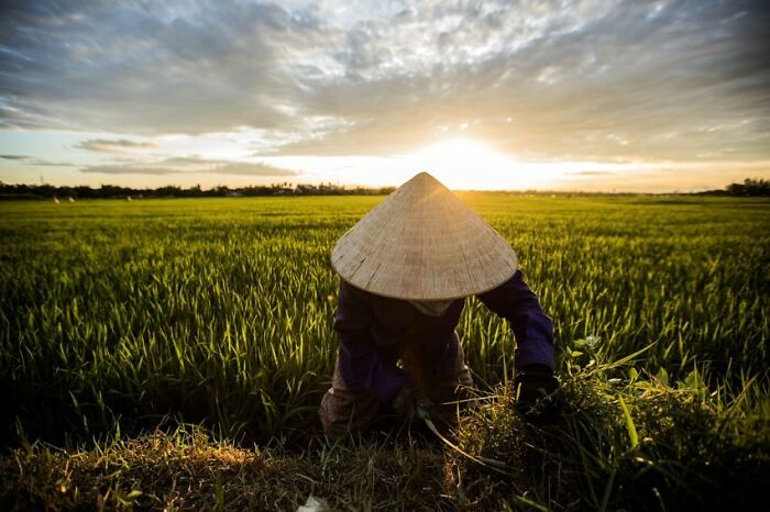 Passionate About Vietnam, Photographer Captures The True “Soul” Of His People In Their Daily Lives (New Pics)