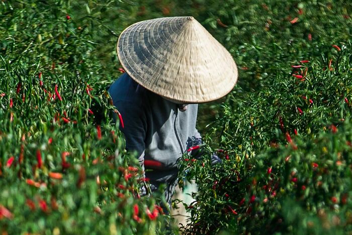 Passionate About Vietnam, Photographer Captures The True “Soul” Of His People In Their Daily Lives (New Pics)