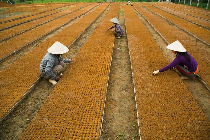 Passionate About Vietnam, Photographer Captures The True “Soul” Of His People In Their Daily Lives (New Pics)