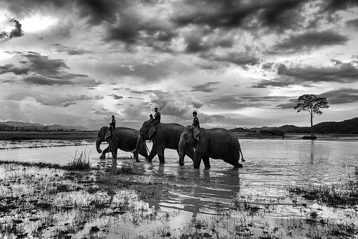 Passionate About Vietnam, Photographer Captures The True “Soul” Of His People In Their Daily Lives (New Pics)