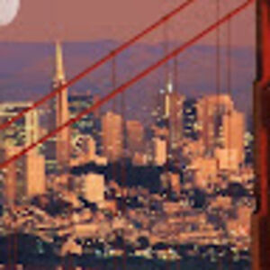 shirleylandry avatar